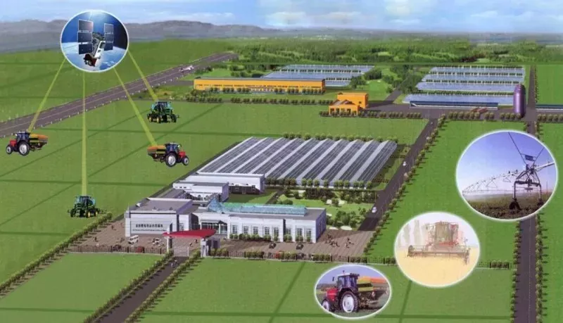 Steel Structure Agricultural Building