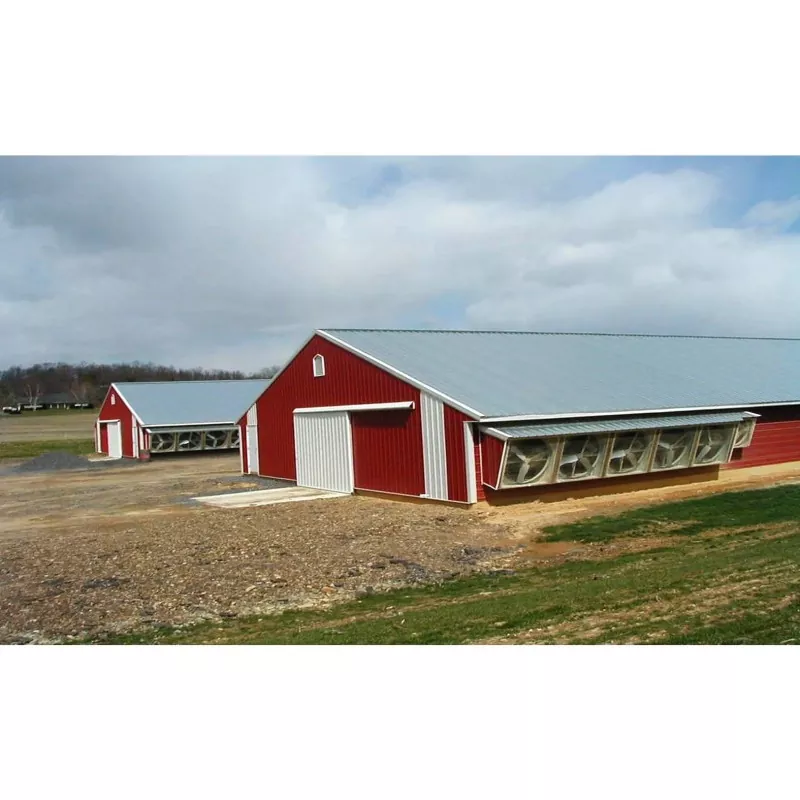 Steel Structure Poultry House